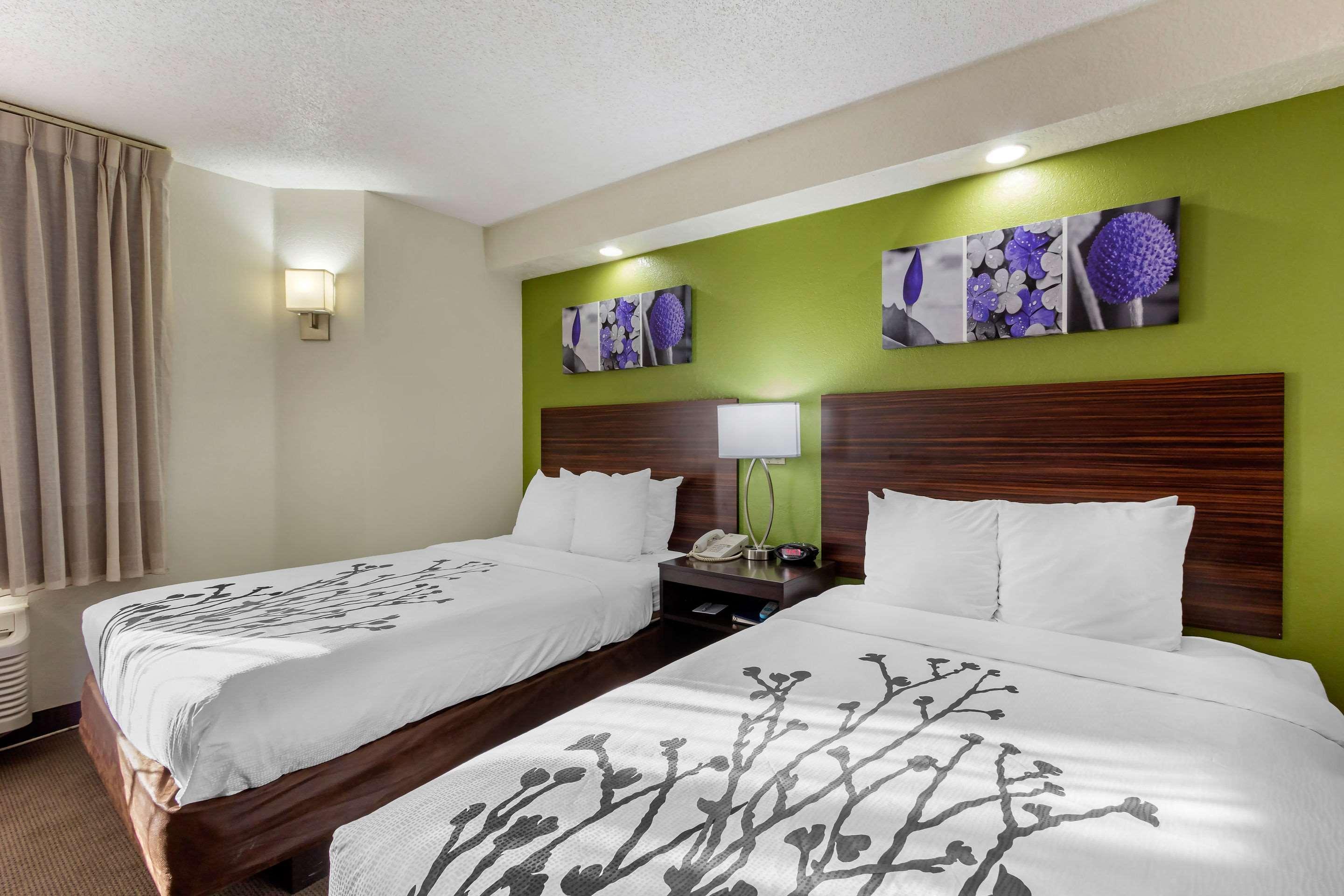 Sleep Inn Near Busch Gardens - Usf Temple Terrace Exterior foto